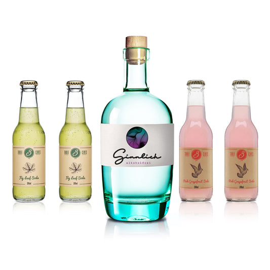 Ginnlich alkoholfrei Bundle - Exotic Sodas mit Fig Leaf & Pink Grapefruit (5-teiliges Set)